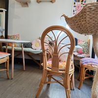  at Canterbury Tails Cat Cafe in Canterbury