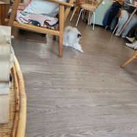  at Canterbury Tails Cat Cafe in Canterbury