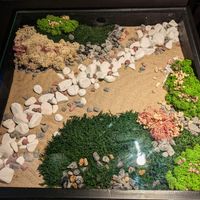 One of many tables at Emira at Emira in Berlin