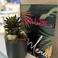   at Charlys & Toms - The Brunch Club in Gran Canaria