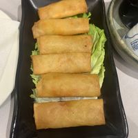Veg spring rolls   at Oriental City - 东方城中餐馆 in Tirana