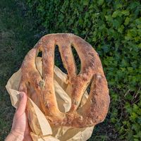  at Goguette Bread  in Santa Rosa