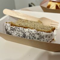   at Dharma in Barcelona