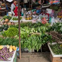  at Tamarind - A Taste of Laos in Luang Prabang