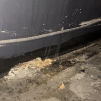   at Oasis Tea Zone in Seattle