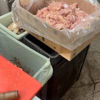   at Oasis Tea Zone in Seattle