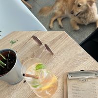 Dog friendly 🐾  at VíK - Vegan Venue in Bratislava