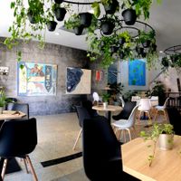  at VíK - Vegan Venue in Bratislava