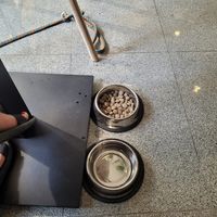 Vegan dog food available!   at VíK - Vegan Venue in Bratislava