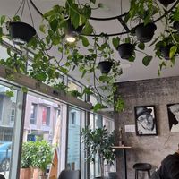  at VíK - Vegan Venue in Bratislava