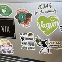   at VíK - Vegan Venue in Bratislava