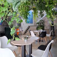  at VíK - Vegan Venue in Bratislava