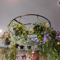  at VíK - Vegan Venue in Bratislava