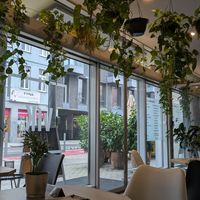 Interior at VíK - Vegan Venue in Bratislava