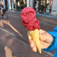 Bosbessen vegan ijs. 1 bolletje at Ijs van Matthijs in Leiden