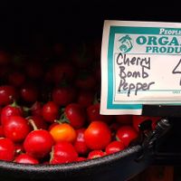  at Ocean Beach People's Organic Foods Deli in San Diego