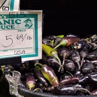  at Ocean Beach People's Organic Foods Deli in San Diego