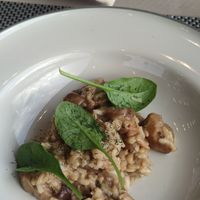 Mushroom risotto at Restaurant Triglav Bohinj in Bohinjsko Jezero