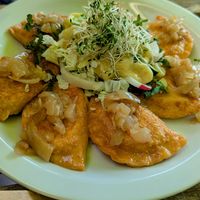 Wholegrain red lentils and vegetable pirogi (dumplings) - pan fried at Dal Dalla Gelato in Warsaw