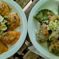 Wholegrain red lentil and vegetables pan-fried pirogi on the left. Green spinach and tofu boiled pirogi on the right at Dal Dalla Gelato in Warsaw