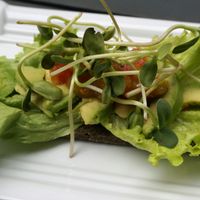 Avocado Bread at Simply Raw Bakery and Bistro in Vienna