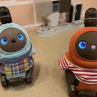 These Lovots want to play  at LOVOT Cafe in Kawasaki