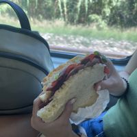   at Caffè del Teatro Niccolini in Florence