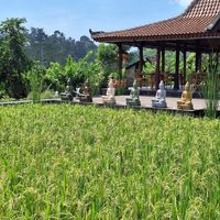 The place at Anandinii Organic Garden & Kitchen in Sidemen