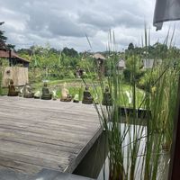   at Anandinii Organic Garden & Kitchen in Sidemen