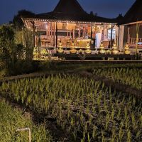  at Anandinii Organic Garden & Kitchen in Sidemen