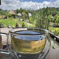 Refreshing ginger and lemongrass tea - grown organically onsite   at Anandinii Organic Garden & Kitchen in Sidemen