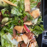  at Five Stars in Cincinnati