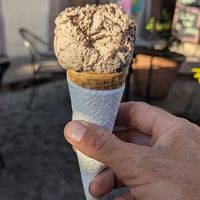 Cone at Vfish in Morelia