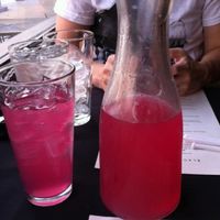 Cactus pear lemonade  at Black Sheep Cafe in Provo
