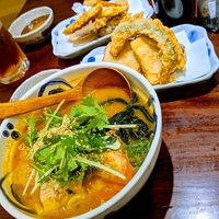 Udon in hot curry broth, vegetable tempura at Hoshina 穗科 - Songshan District in Taipei