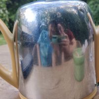  at Theehuys Anserdennen in Ansen