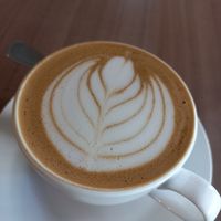  at Cafe Unido - Via Argentina in Panama City