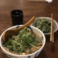 Udon and stirfried greens (cold) with sesame paste at Hoshina 穗科 - Da'an District in Taipei