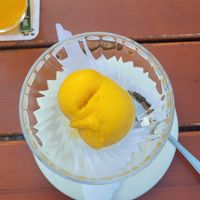 Mango Sorbet at Webers Esszeit in Gutach