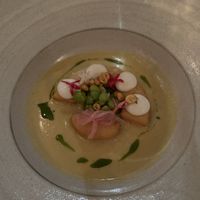   at The Musket Room in New York City