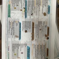   at Bagelicious in Ventura