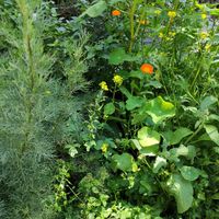  at Zo'ndag Werkendam in Werkendam