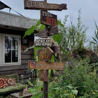  at Zo'ndag Werkendam in Werkendam