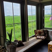  at Zo'ndag Werkendam in Werkendam