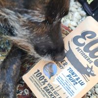 Koekjes! at Zo'ndag Werkendam in Werkendam