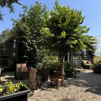   at Zo'ndag Werkendam in Werkendam