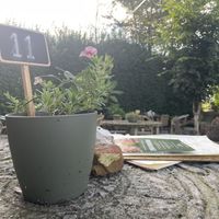   at Zo'ndag Werkendam in Werkendam