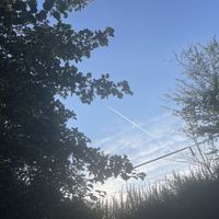   at Zo'ndag Werkendam in Werkendam