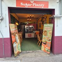  at Sugar Planty in Mexico City