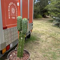   at The Nourished Sovereign in Moruya